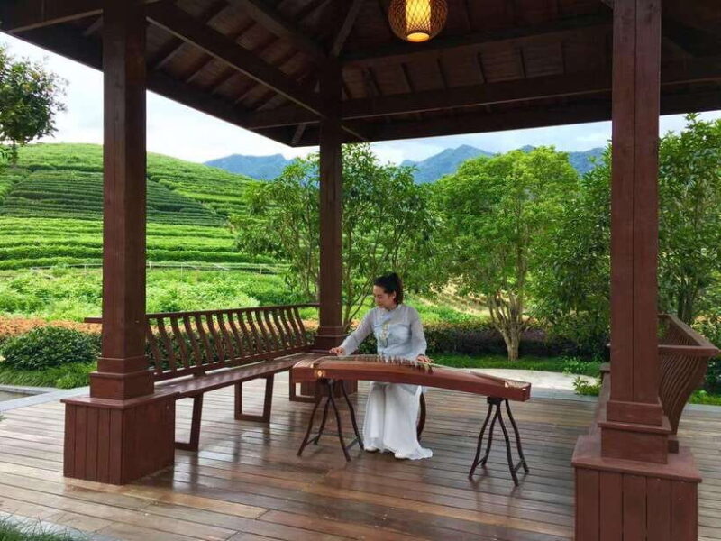 Hangzhou Private Day Trip by Bullet Train from Shanghai - The Experience in Detail