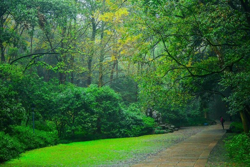 Hangzhou Private Guided Day Tour West Lake, Lingyin Temple - Is this the right Hangzhou tour for you?