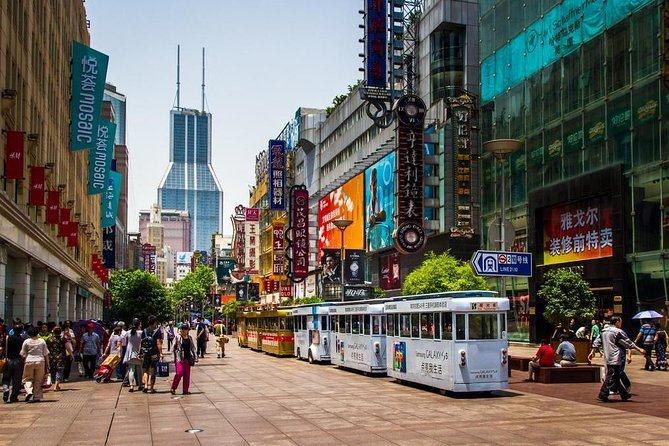 Hangzhou Private Transfer to Shanghai With Drop-Off Options - Traveler Requirements