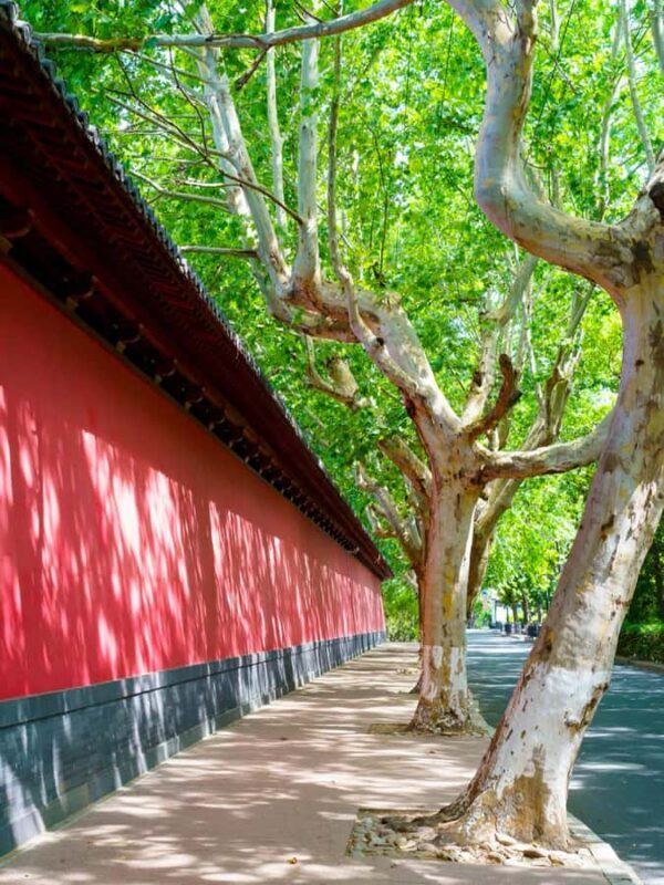 Hangzhou: Southern Song Heritage Sightseeing Hiking Tour - Good To Know