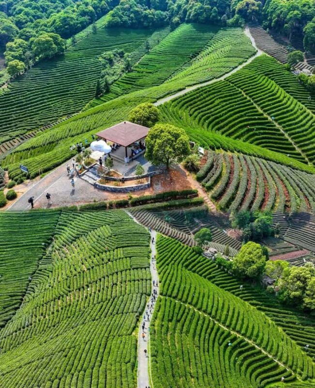 Hangzhou Tea Tour: Villages, Lakes & Whisked Tea Experience - Exploring the Hangzhou Tea Tour: Villages, Lakes & Whisked Tea Experience