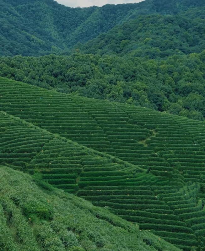 Hangzhou Tea Tour: Villages, Lakes & Whisked Tea Experience - Final Reflection: Is It Worth It?
