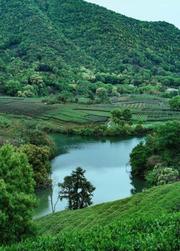 Hangzhou Tea Tour: Villages, Lakes & Whisked Tea Experience - Good To Know