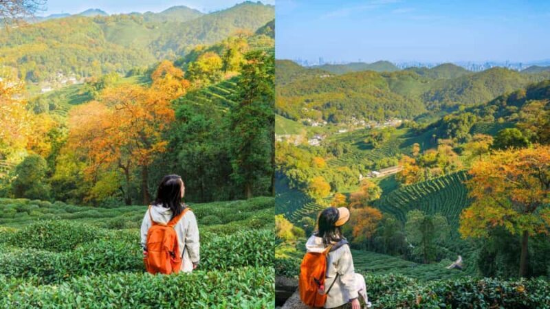 Hangzhou: Tea Village Photoshoot in Longjing - An In-Depth Look at the Longjing Tea Village Photoshoot