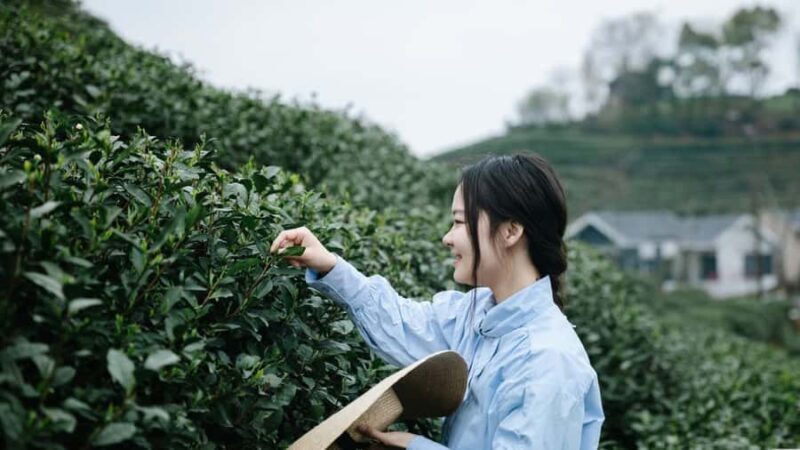 Hangzhou: Tea Village Photoshoot in Longjing - Final Thoughts: The Value of a Scenic Photoshoot in Longjing