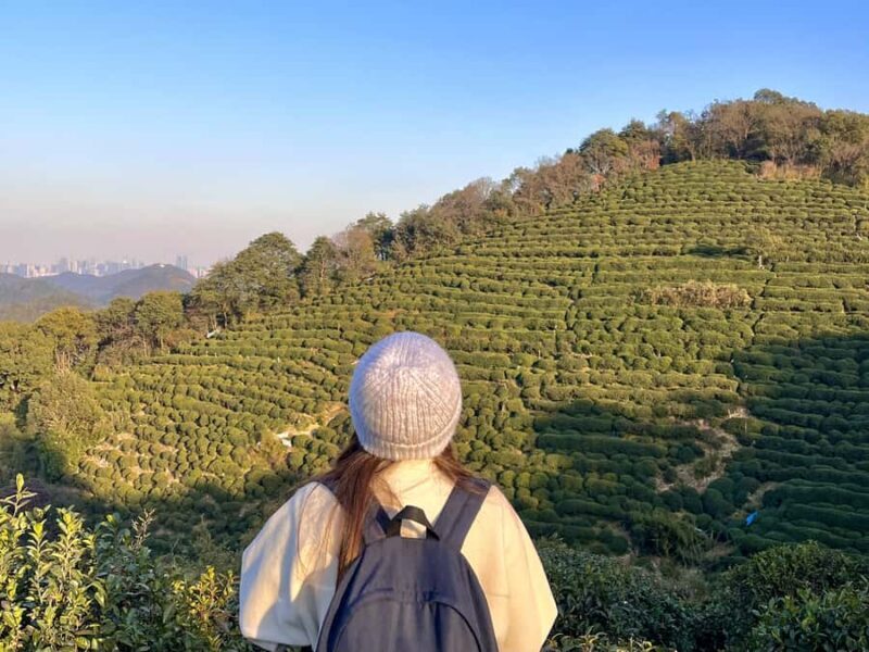 Hangzhou: UNESCO Tea Culture Experience Hand Fry & Taste - Who Will Love This Experience?