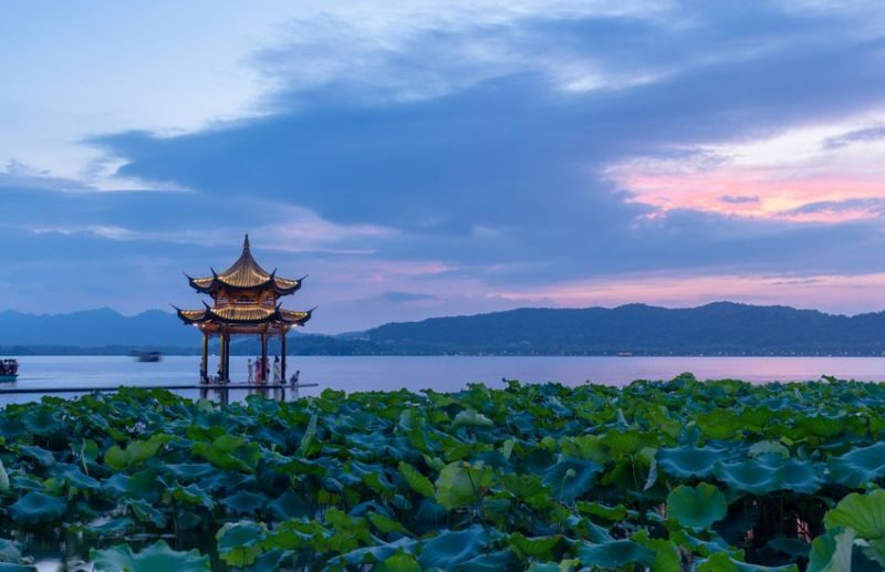 Hangzhou West Lake & Alibaba Headquarters Full-Day Tour with Tea Village - The robot-town exhibition is small