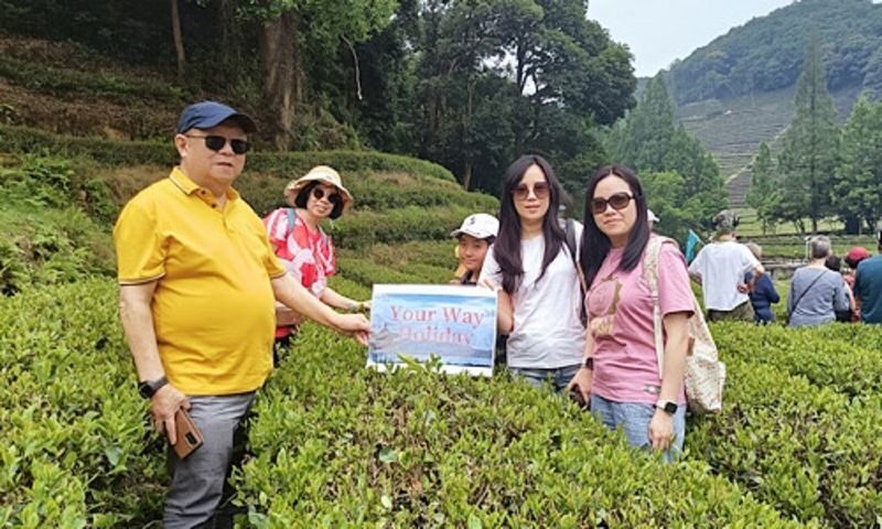 Hangzhou West Lake & Alibaba Headquarters Full-Day Tour with Tea Village - Who should book this day?