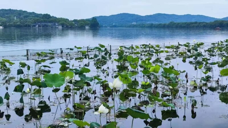 Hangzhou: West Lake and Classic Attractions Group Tour - The Sum Up