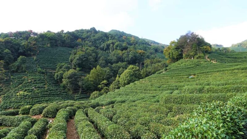 Hangzhou: West Lake and Classic Attractions Group Tour - FAQ