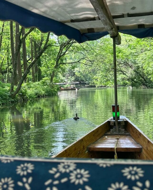 Hangzhou West Lake and Lingyin Temple Full-Day Tour including Boat Ride - Who should choose this Hangzhou day tour