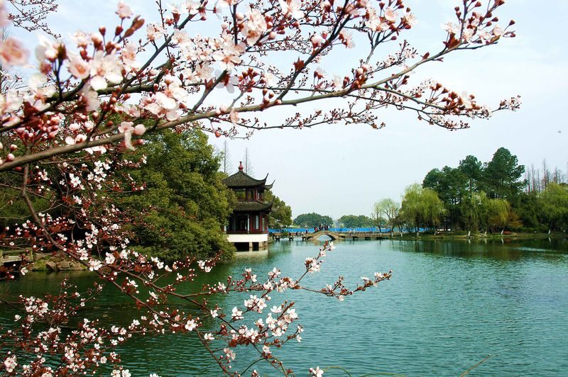 Hangzhou West Lake boat tour + Lingyin Temple + Tea art fan painting half-day/full-day tour - Tea whisking and fan painting: lovely extra, not a sure thing