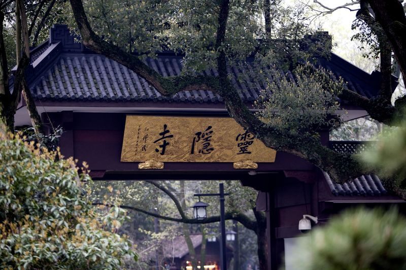 Hangzhou West Lake boat tour + Lingyin Temple + Tea art fan painting half-day/full-day tour - Price and value: pay for context, not just transport