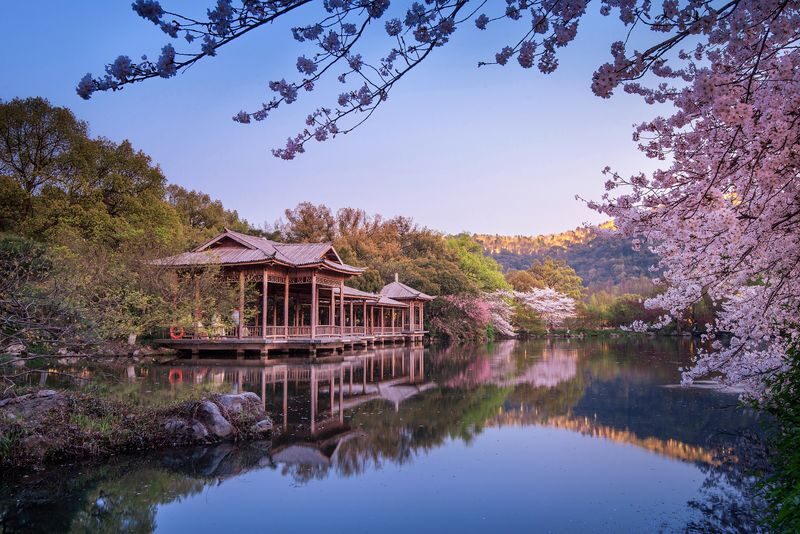 Hangzhou West Lake Cruise + Leifeng Pagoda + Su Causeway + Viewing Fish at Flower Pond Classic Half-Day Tour - Leifeng Pagoda sets the scene