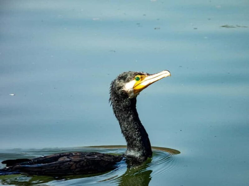 Hangzhou: West Lake Legends Walking Tour - Exploring the Hangzhou West Lake Legends Walking Tour in Detail