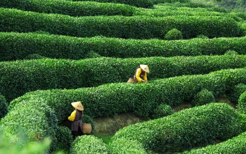 Hangzhou: West Lake to Jiangnan former residence Day Tour - Exploring West Lake