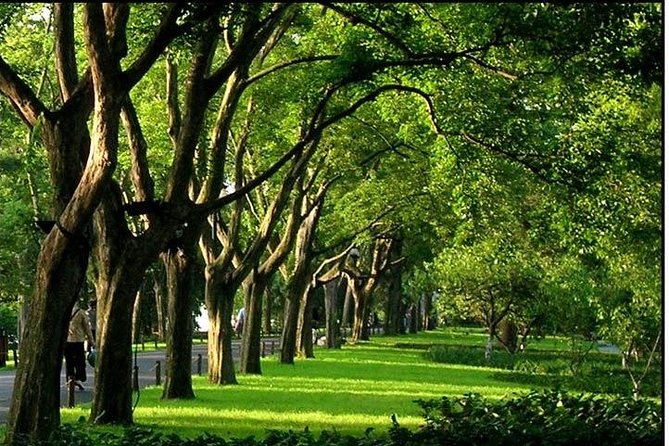 Hangzhou West Lake Walking Day Tour - Tour Highlights