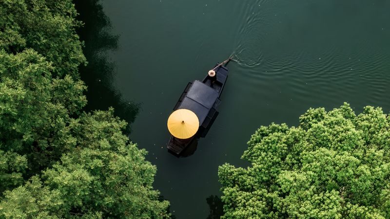 Hangzhou Xixi Wetland + Longjing Village Tea Picking Group Day Tour - Let the Xixi boat ride set the scene