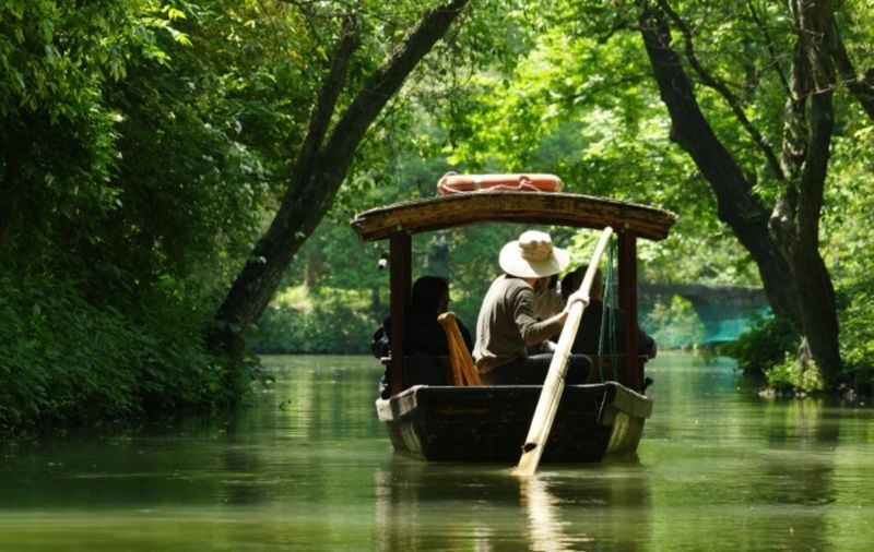 Hangzhou Xixi Wetland + Longjing Village Tea Picking Group Day Tour - What the half-day route covers