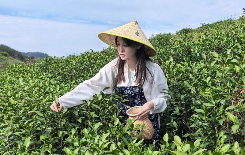 Hangzhou Xixi Wetland + Longjing Village Tea Picking Group Day Tour - Picking and firing Longjing tea
