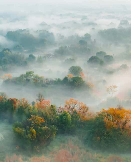 Hangzhous Urban Oasis: Poetic Xixi Wetland Half-Day Tour - Price and Value Analysis