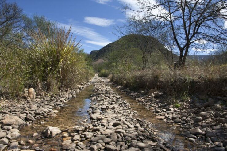 Hankey: Baviaanskloof Full-Day Guided Safari Trip With Lunch - Trip Details