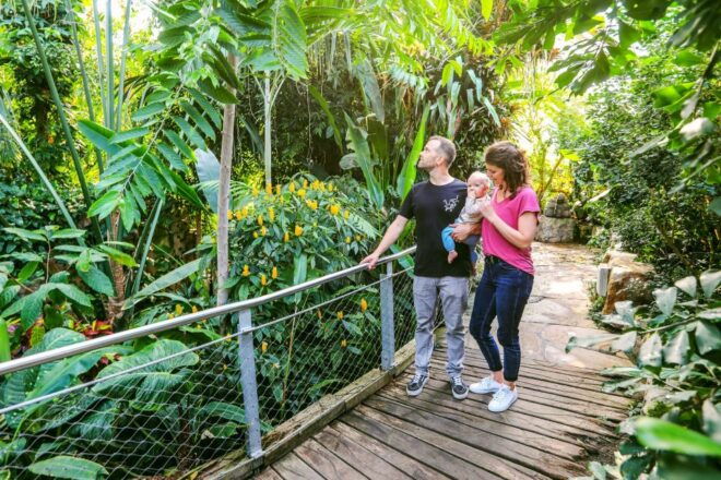 Hannover: SEA LIFE Entry Ticket - Reviews and Additional Information