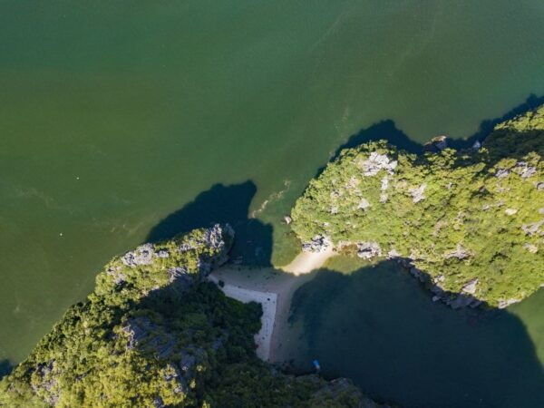 Hanoi: 2-Day Lan Ha Bay and Cat Ba National Park With Hiking - The Sum Up and Final Thoughts