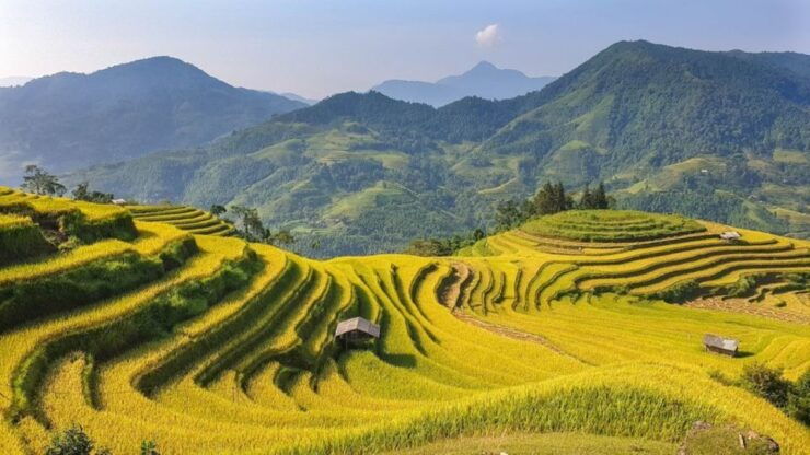 Hanoi: 2-Day Ta Van & Sapa Trek With Local Guide & Homestay - Activity Details
