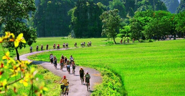 Hanoi: 2-Day Tour to Ninh Binh & Halong Bay With Transfer - Tour Itinerary and Highlights