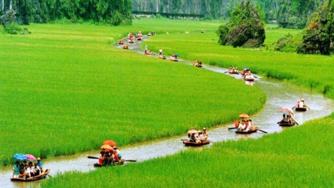 Hanoi: 3-Day Ninh Binh Tour and Bai Tu Long Bay Cruise - Dietary Requirements