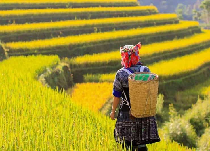 Hanoi 5-Day Trip : Sapa-Ninh Binh-Halong Bay 5-Stars Cruise - Itinerary Highlights