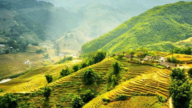 Hanoi 5-Day Trip : Sapa-Ninh Binh-Halong Bay 5-Stars Cruise - Included Activities and Amenities