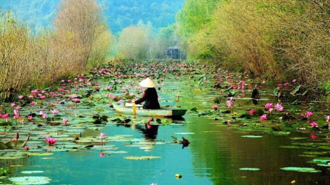 Hanoi Airport Transfer - Luxury Transfer Description