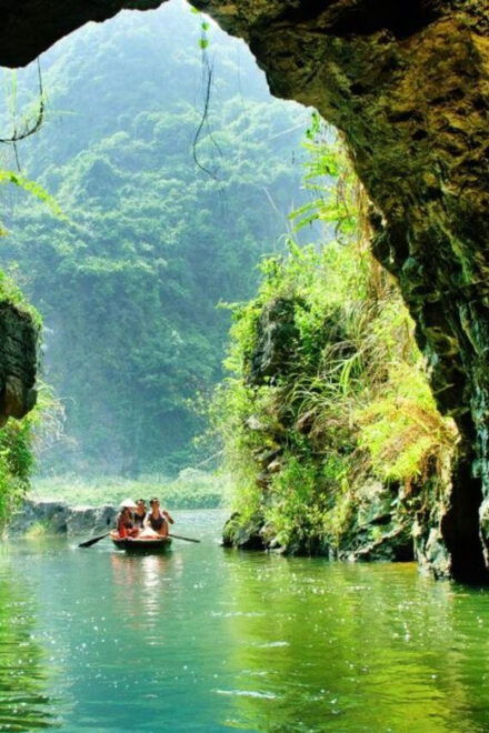HANOI: BAI DINH - TRANG AN & MUA CAVE DAY TRIP BY LIMOUSINE - Meals and Amenities