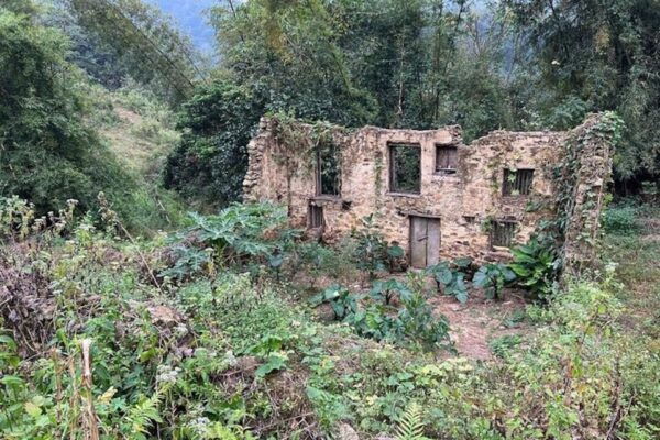 Hanoi: Ban Gioc Waterfall to Hidden Village Trekking Tour - Bong Son Village