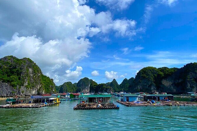 Hanoi- Cat Ba 2D1N: Hike Cat Ba National Park& Explore Lan Ha Bay - What to Expect: Transportation, Activities, and Accommodation