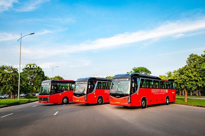 Hanoi: Cat Ba Island Transfer with Shuttle Bus or Limousines - The Sum Up