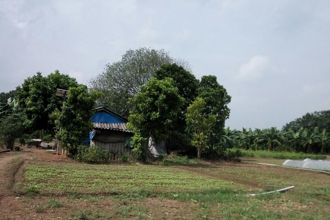 Hanoi City Sights & Red River Delta Tour on Motorbike - Motorbike Tour Itinerary