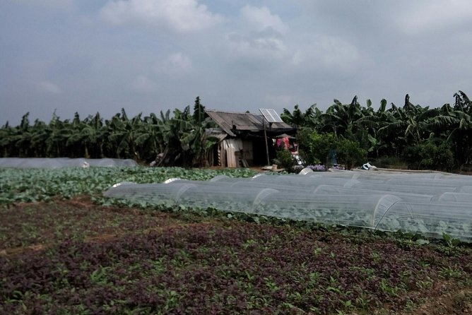 Hanoi City Sights & Red River Delta Tour on Motorbike - Local Culture and Cuisine