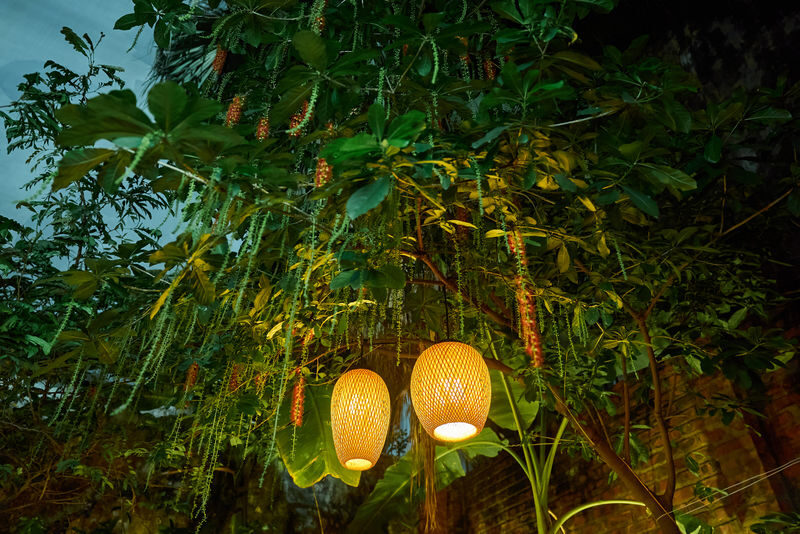 Hanoi Cooking Class: Bun Cha, Pho & Summer Rolls with Free Coffee - Is the price good value?