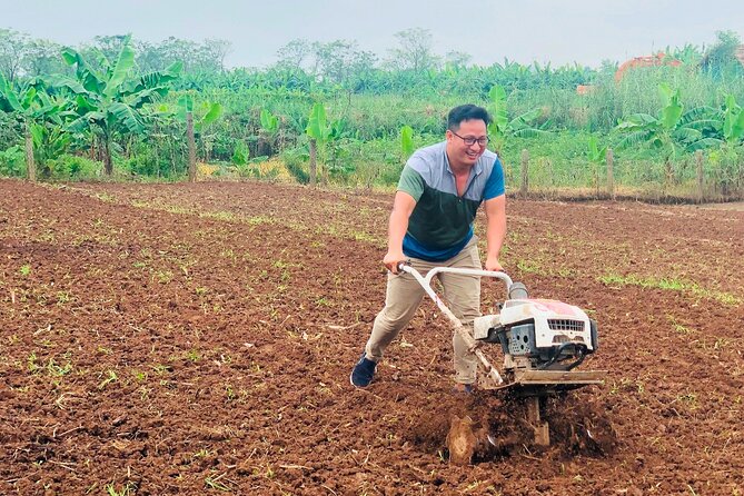 Hanoi Countryside in Banana Island - Top Tours & Activities - Directions