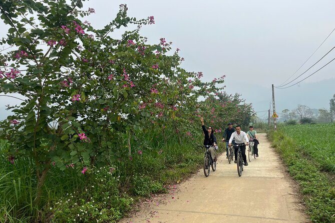 Hanoi Day In The Life and Farm to Table Tour with Cooking Class - Frequently Asked Questions