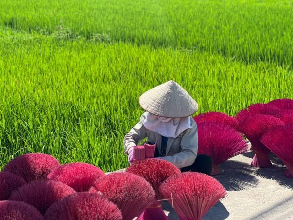 Hanoi: Day Trip to Lacquer Paint, Incense & Hat Villages - Tips for a Successful Trip
