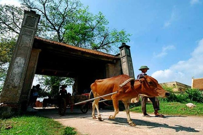 Hanoi: Duong Lam Historical Village Private Day Tour - Pricing and Value