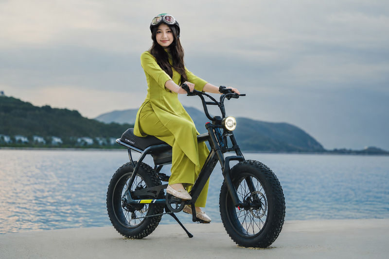 Hanoi E-Bike Tour with Female Rider - Self-Ride, Hidden Gems & City Highlights - Long Bien Bridge and the city’s bigger picture