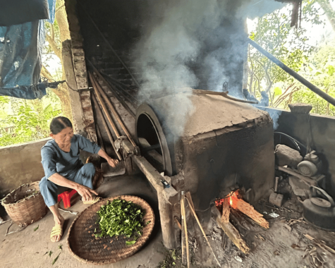Hanoi Eco Tour: Ba Vi National Park Wonders & Tea Plantation - Customer Feedback