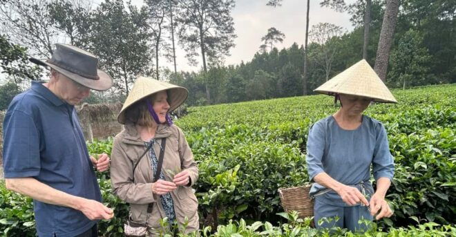 Hanoi Eco Tour: Ba Vi National Park Wonders & Tea Plantation - Important Information
