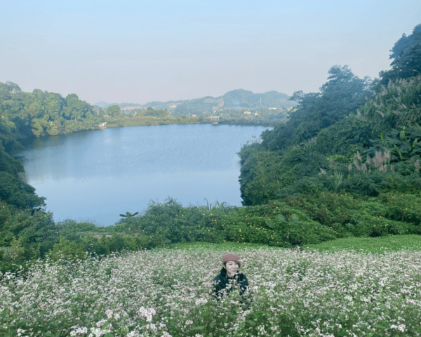 Hanoi Eco Tour: Ba Vi National Park Wonders & Tea Plantation - Travel Tips