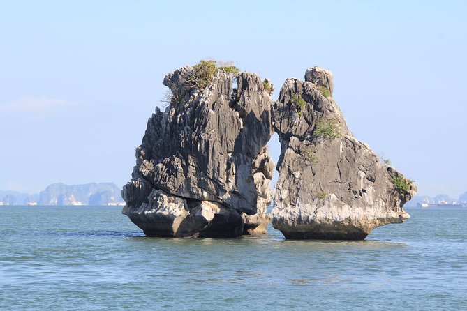 Hanoi Full-Day Ha Long Bay Tour - Cancellation Policy